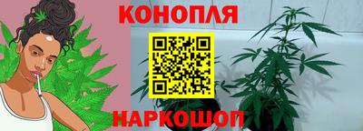 гидра Каменск-Шахтинский