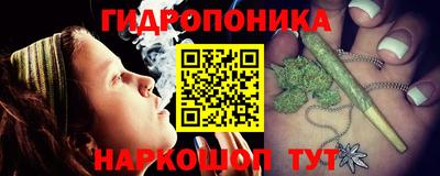 гидра Каменск-Шахтинский