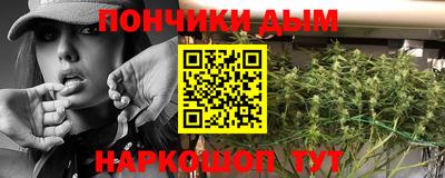 гидра Каменск-Шахтинский