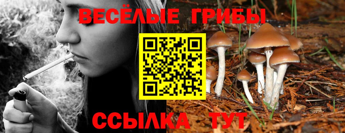 Псилоцибиновые грибы Psilocybine cubensis  Вход с VPN  Отрадный  Галлюциногенные грибы MAGIC MUSHROOMS 